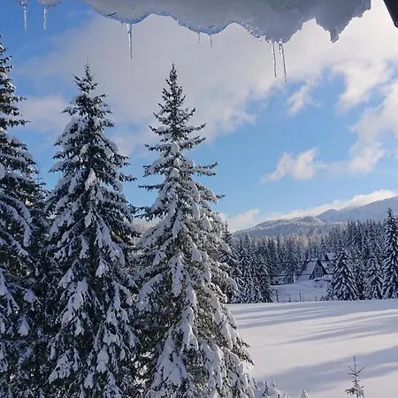 House Jahorinko Apartment